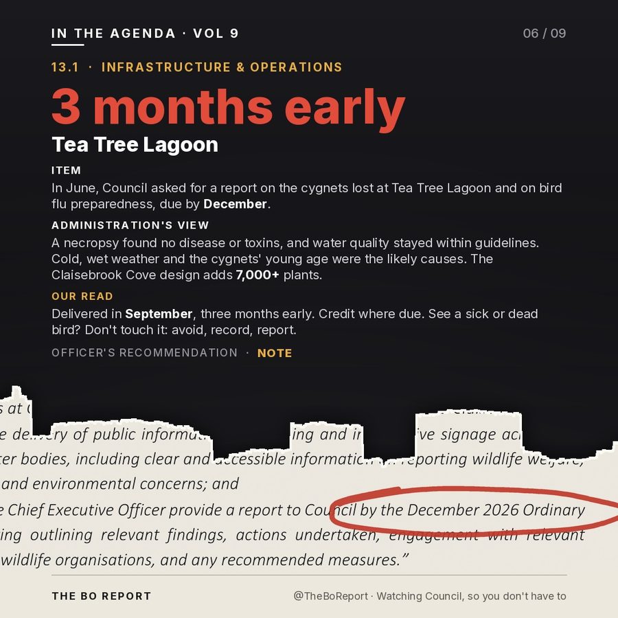 While the news outlets are busy covering the noise, the business of Local Government must …, slide 6
